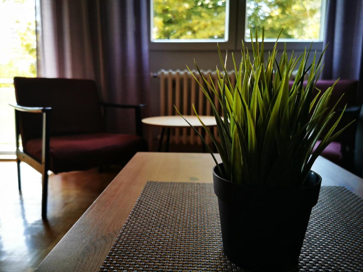!Promo! Blue Amber Downtown-Free Private Garage-Fast Wi-Fi Daire Novi Sad Dış mekan fotoğraf